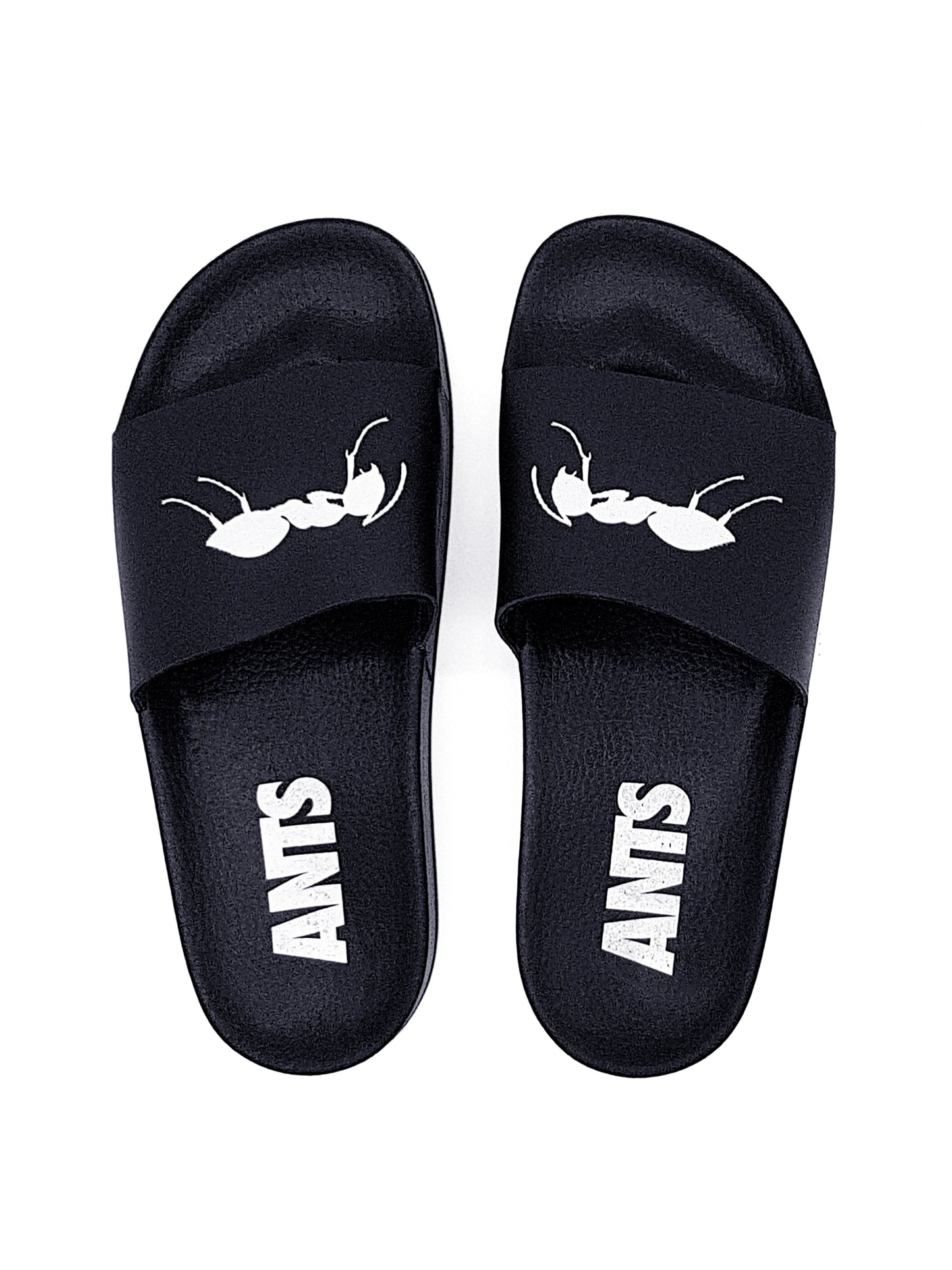 FLIP FLOP ANTS