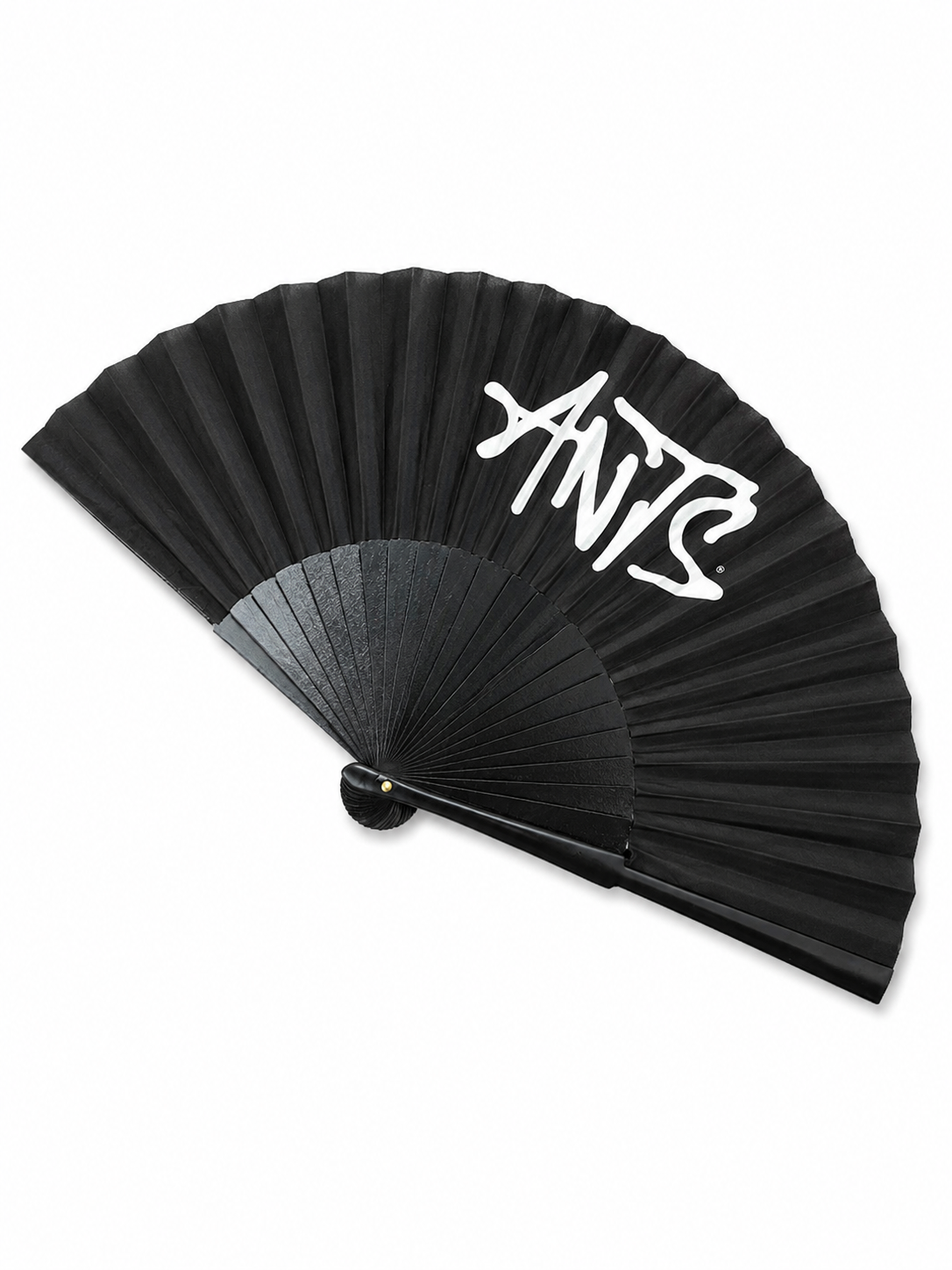 BLACK FAN ANTS