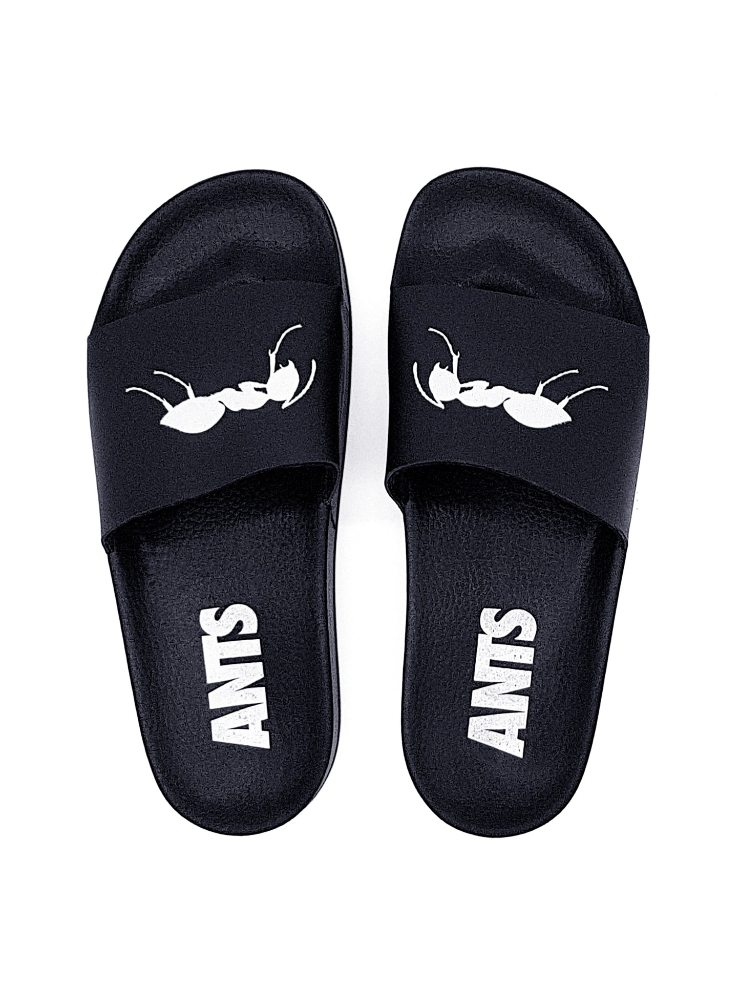 ANTS FLIP FLOP